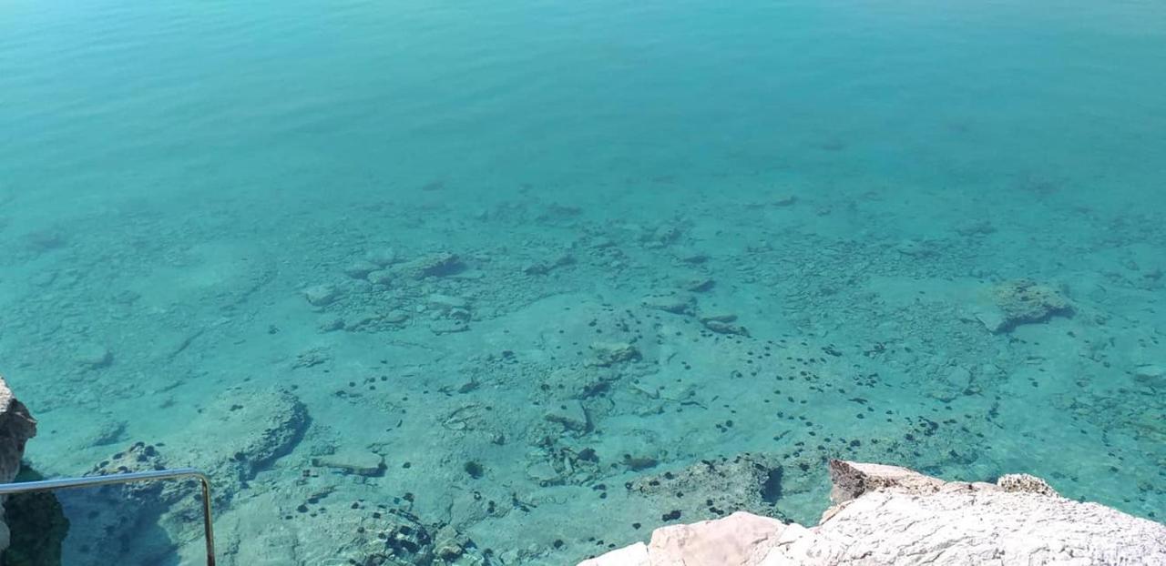 Apartments Sanda Tribunj Tribalj Dış mekan fotoğraf