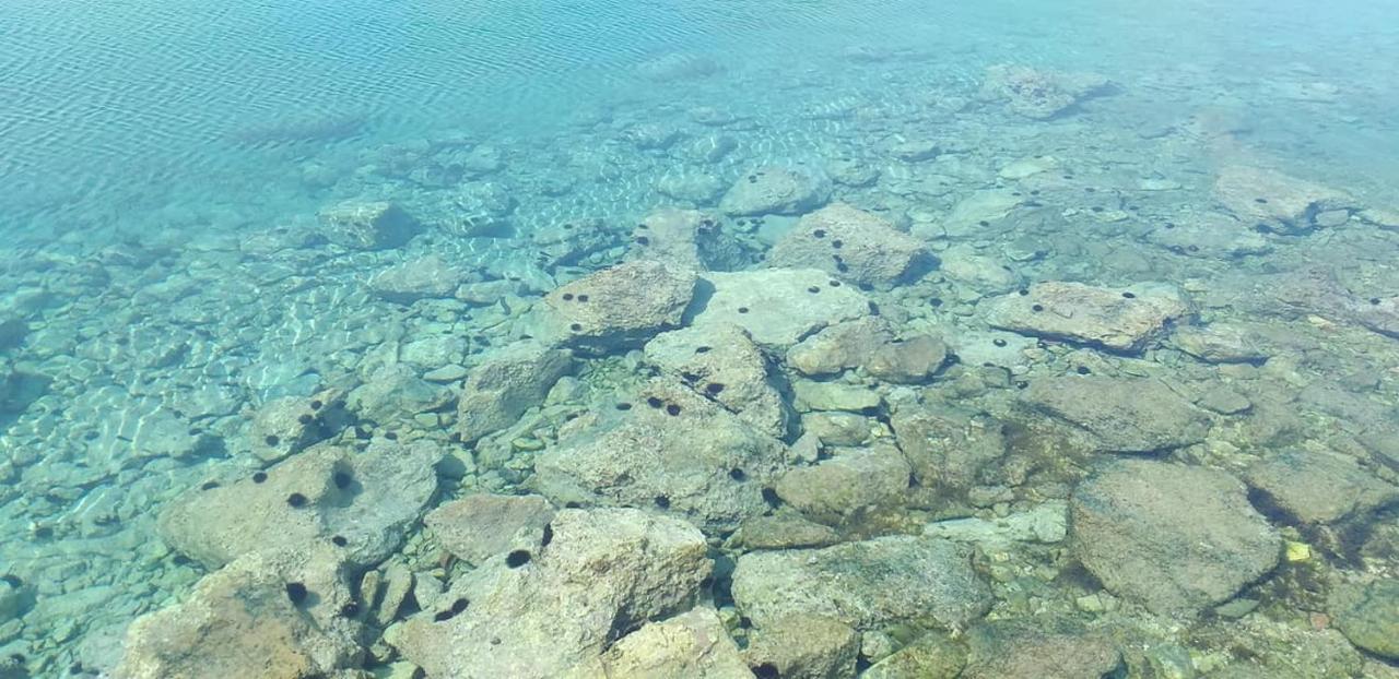 Apartments Sanda Tribunj Tribalj Dış mekan fotoğraf